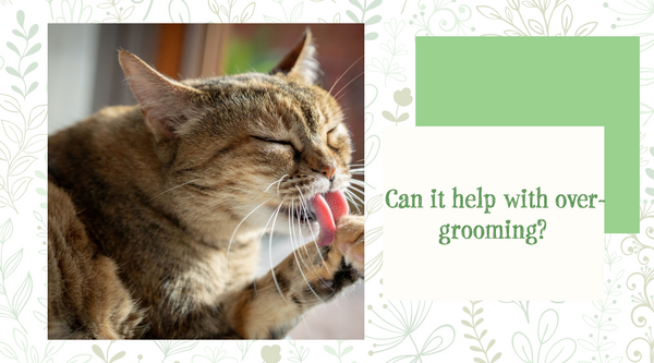Can it help with over-grooming?