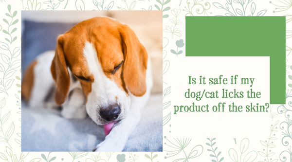 Is it safe if my dog/cat licks the product off the skin?