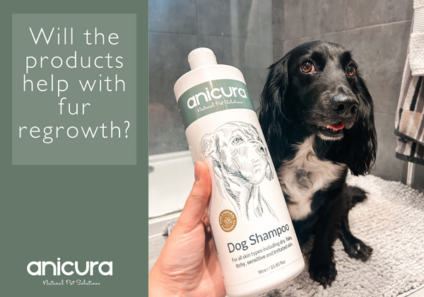 Will the products help the fur grow back?