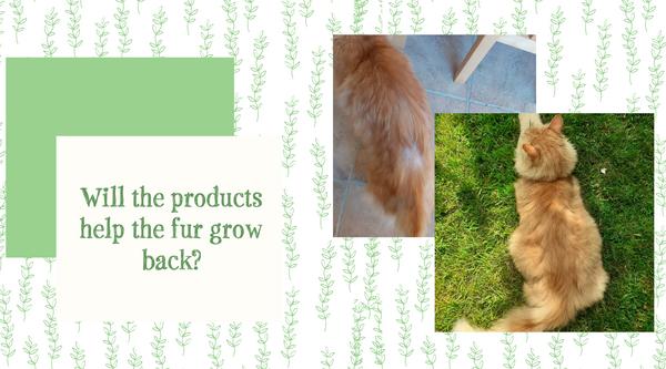 Will the products help the fur grow back?
