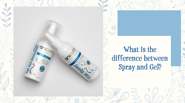 What is the difference between Spray and Gel?