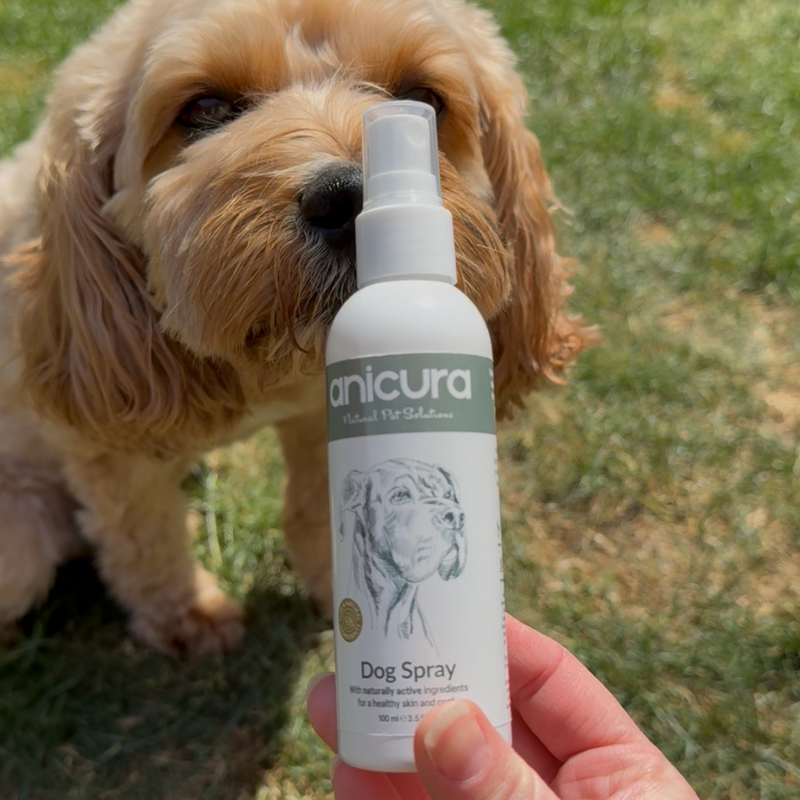 Dog Spray