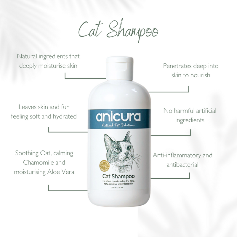 All natural cat shampoo hot sale