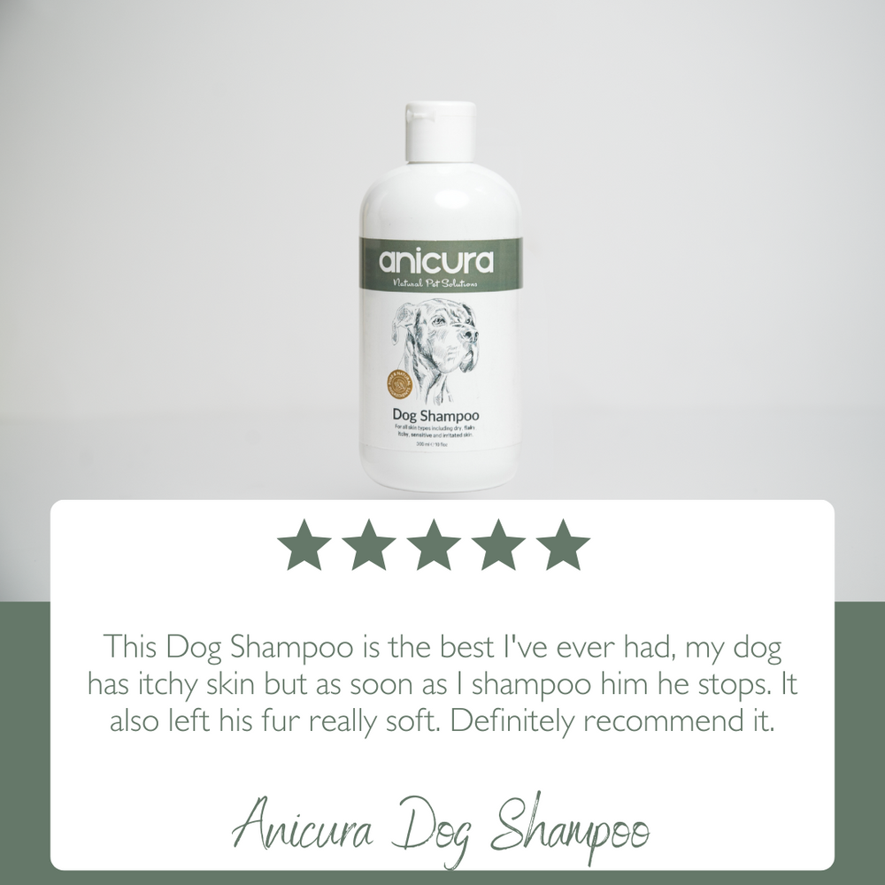 Anicura Dog Shampoo for Dry Flaky Skin Anicura USA
