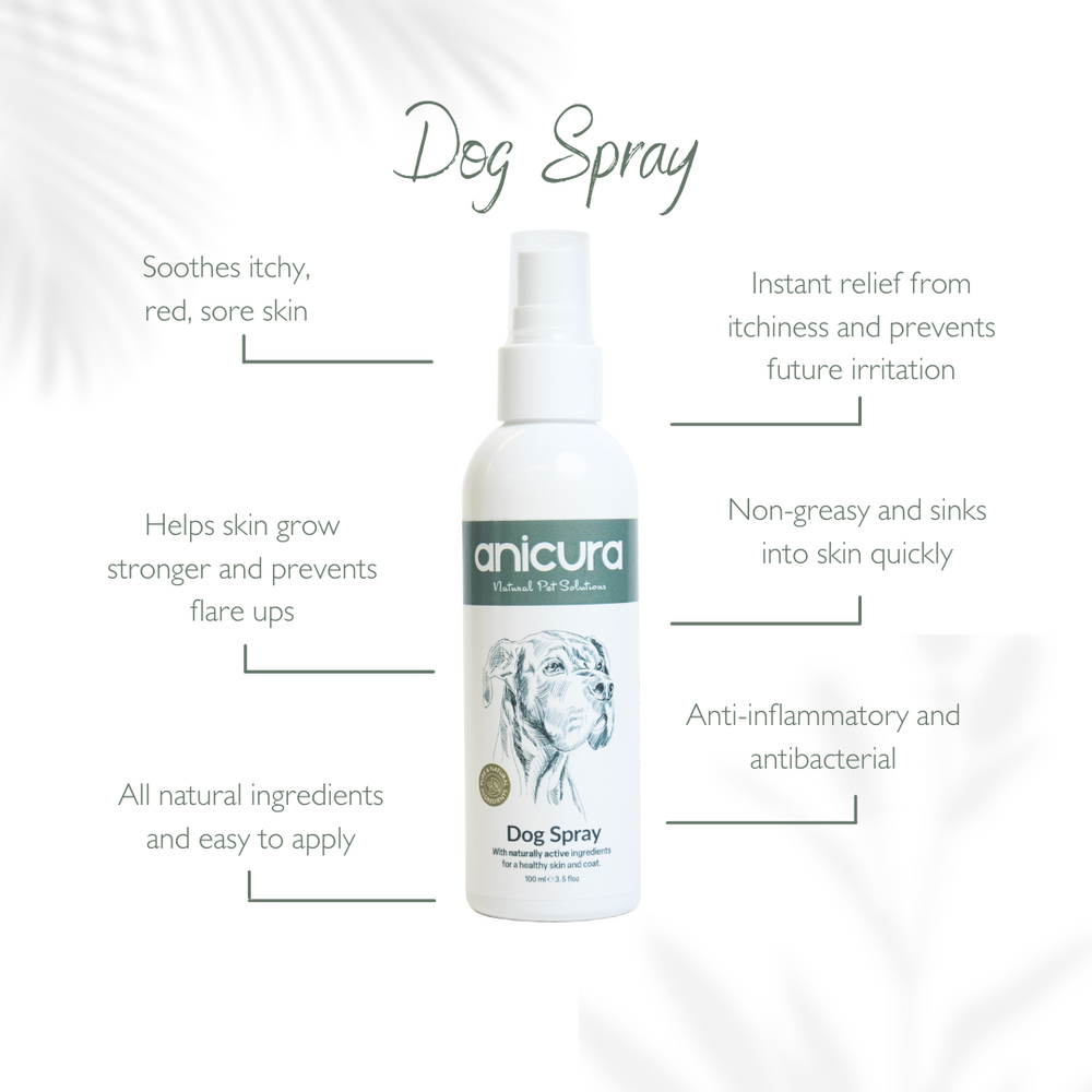 Anicura Dog Spray for Dry Itchy Skin Anicura USA