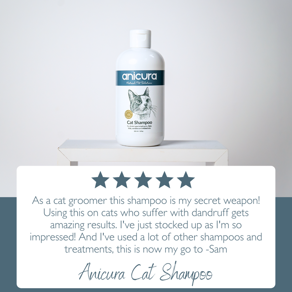 Natural cat shampoo hotsell