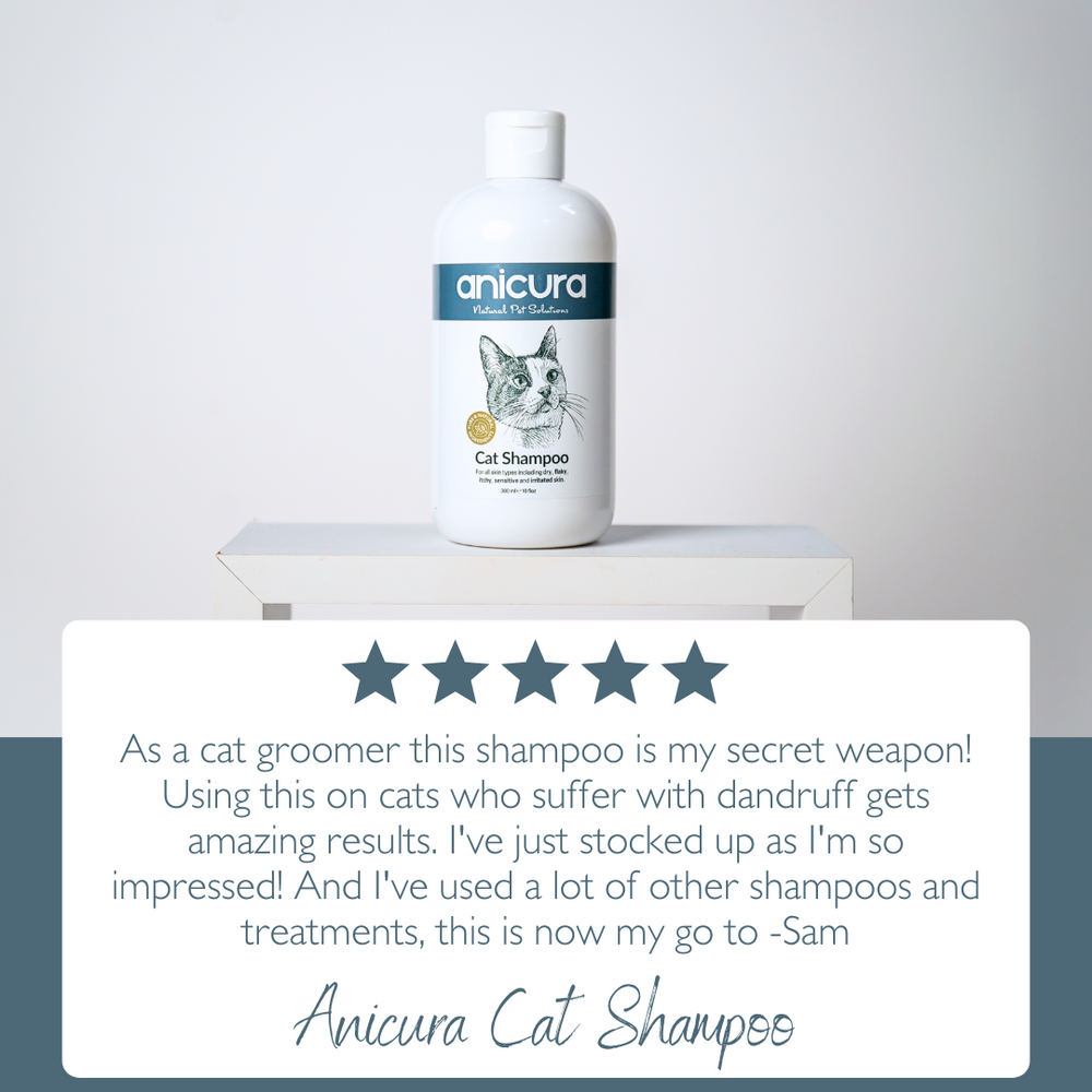 Anicura Cat Shampoo for dry flaky skin Anicura USA